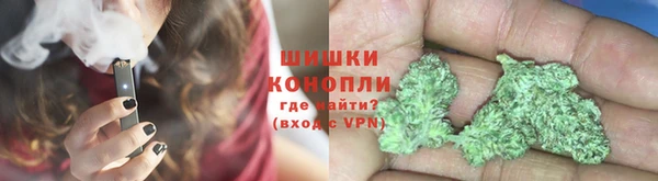 дмт Билибино