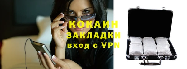 дмт Билибино