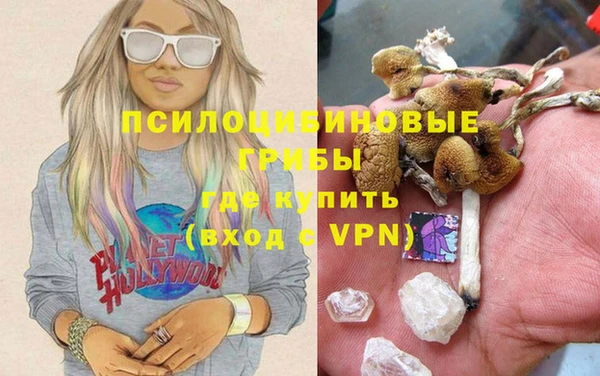 мдпв Ишимбай